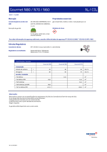 https://www.messer.pt/documents/1416126/7865140/Gourmet+N80-N70-N60.pdf/95235f0d-955b-73cf-5fb3-3b506207da10?version=1.1&t=1764582999387&documentThumbnail=1