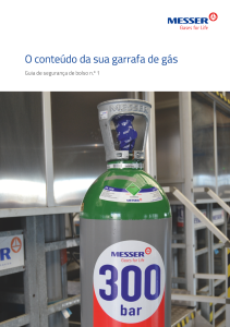 https://www.messer.pt/documents/1416126/8594794/Guia+seguran%C3%A7a+conte%C3%BAdo+de+garrafa+de+g%C3%A1s.pdf/d3af2d25-b8ce-30b0-c51a-adfdcaac3e52?version=1.4&t=1759398608170&documentThumbnail=1