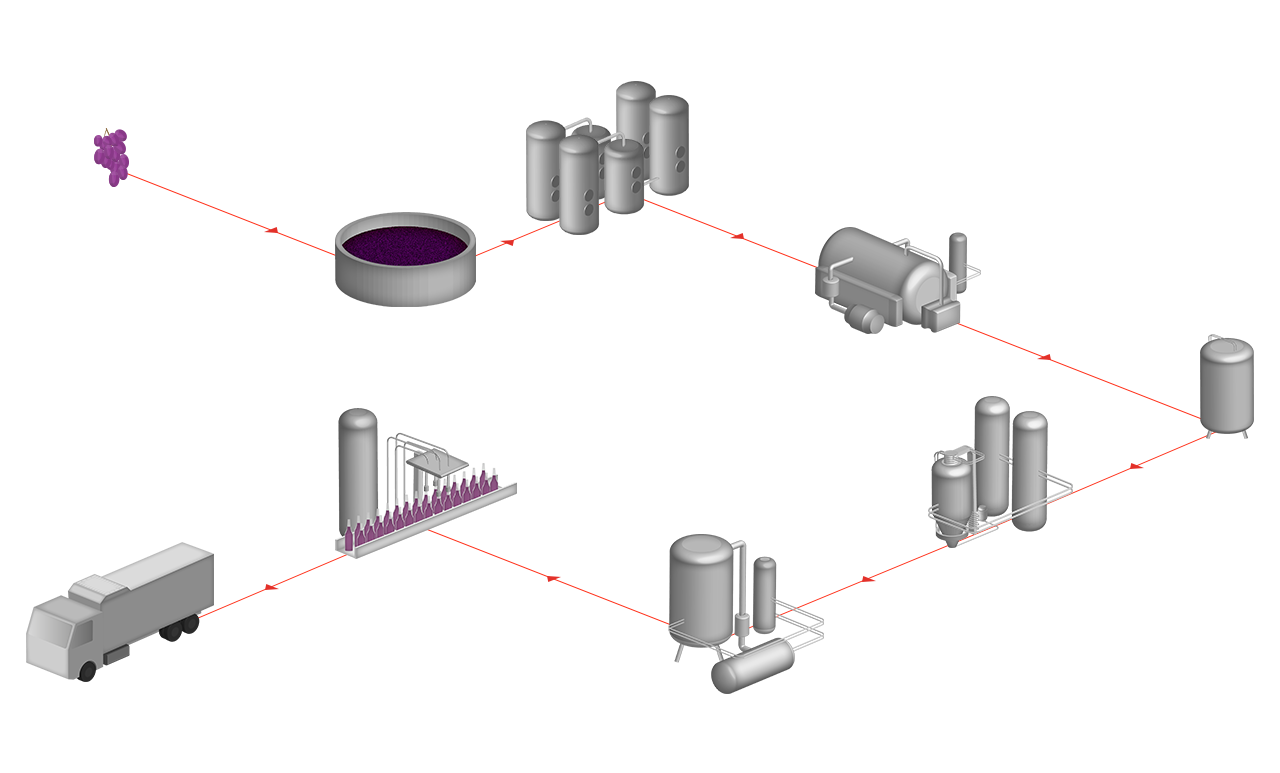 Proceso de elaboración del vino